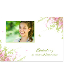 Schmetterlinge