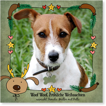 Tierische Weihnachten mit Hund Lustige und verspielte Weihnachtskarten