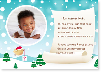 Petit Oiseau De Neige Cartes De Noel Les Premiers Vœux De Bebe Bonnyprints Fr